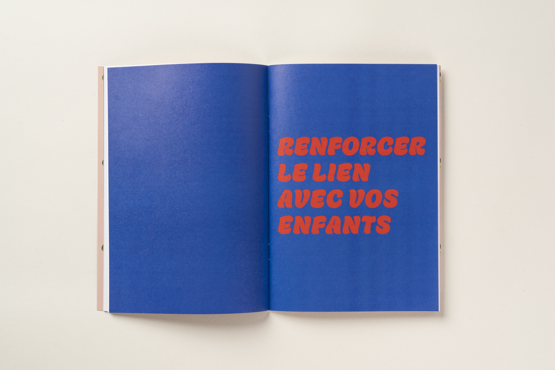 Aplat couleurs vives de la brochure offset